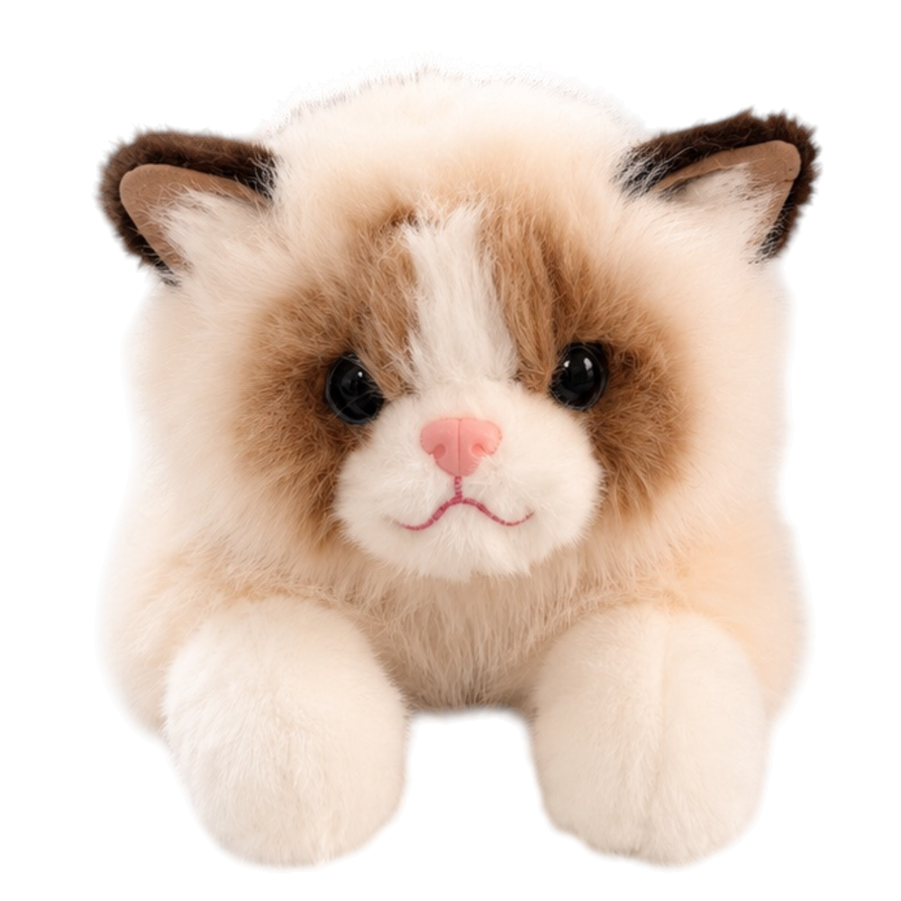 4581 KEDİ 50 CM -ECRU
