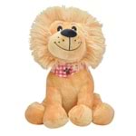 ASLAN