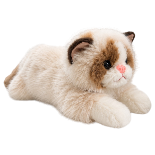 4581 KEDİ 50 CM -ECRU