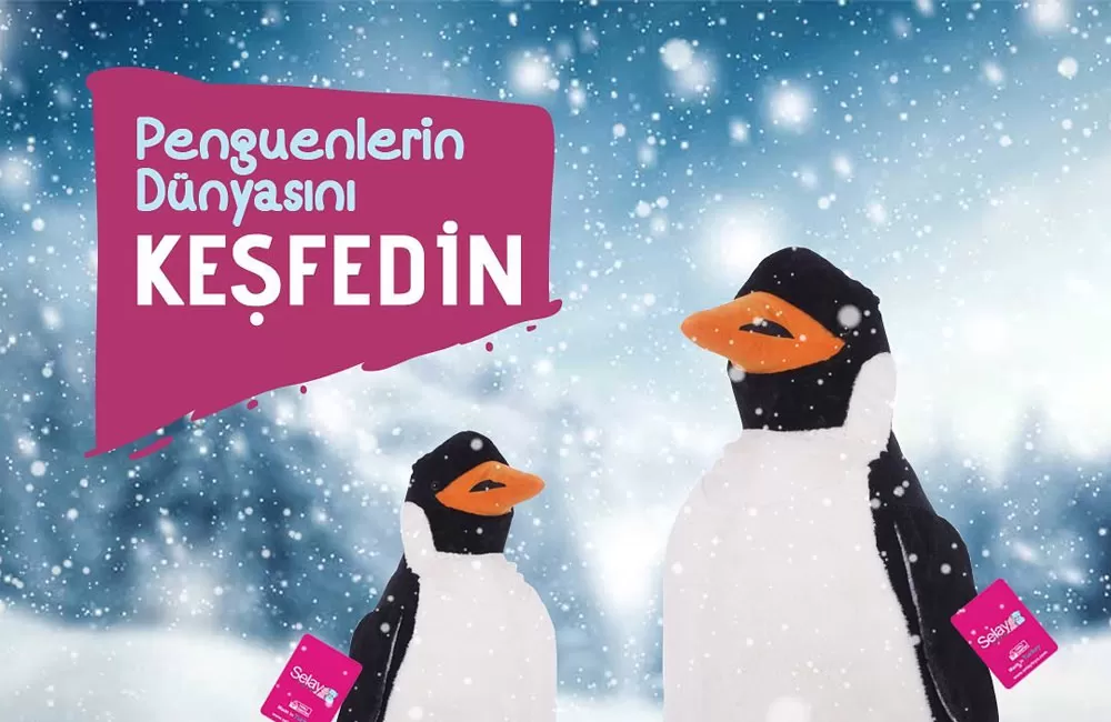 Penguenlerin Dünyası